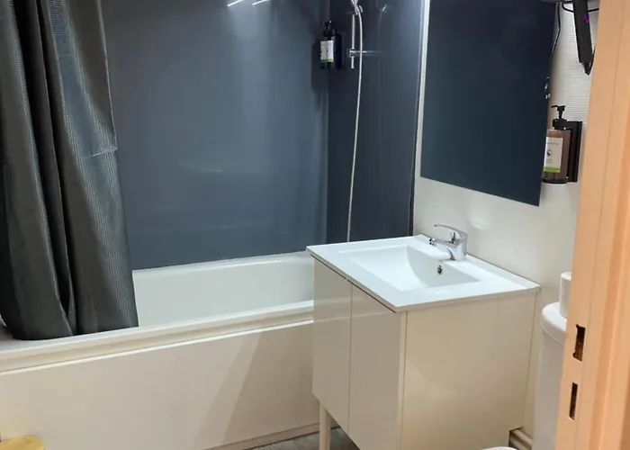 Апартаменты Le Girouard - Center - Private Parking - Wifi, Netflix Пуатье